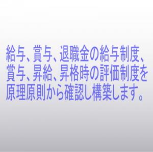 <随時ご契約プラン>人事制度コンサルティング（給与、退職金、評価制度策定、改定）